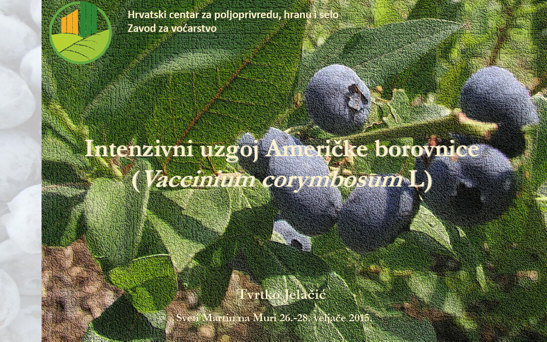 Presentation on blueberries from the University of Zagreb