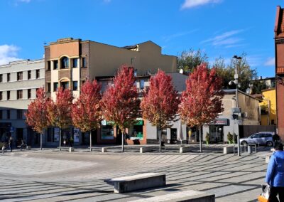 Inne klony mikoryzowane